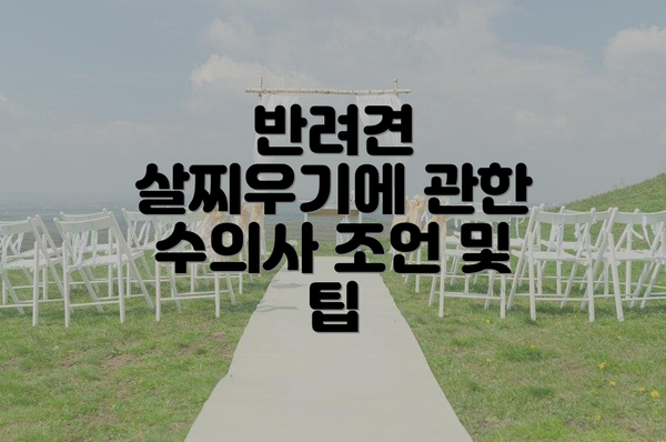 반려견 살찌우기에 관한 수의사 조언 및 팁