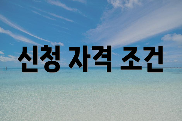 신청 자격 조건