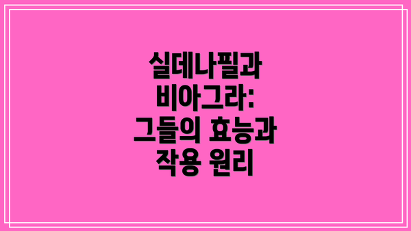 실데나필과 비아그라: 그들의 효능과 작용 원리
