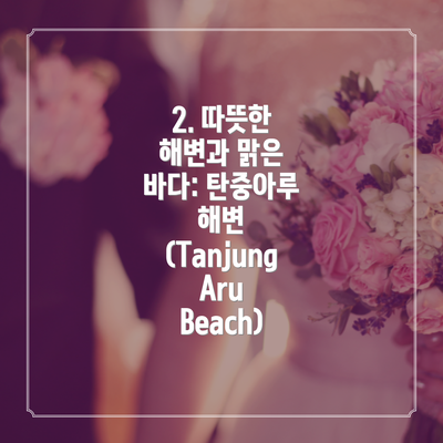 2. 따뜻한 해변과 맑은 바다: 탄중아루 해변 (Tanjung Aru Beach)