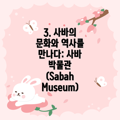 3. 사바의 문화와 역사를 만나다: 사바 박물관 (Sabah Museum)