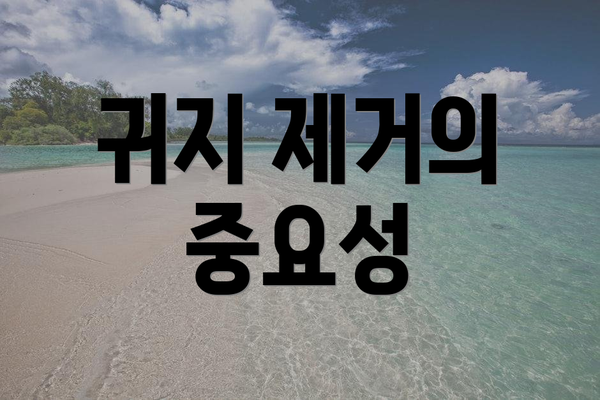귀지 제거의 중요성