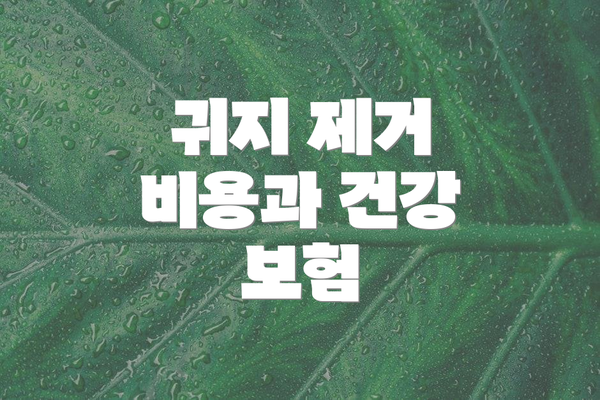 귀지 제거 비용과 건강 보험