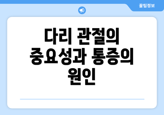다리 관절의 중요성과 통증의 원인