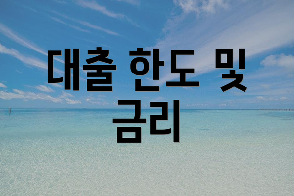 대출 한도 및 금리