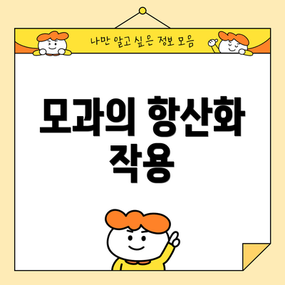 모과의 항산화 작용