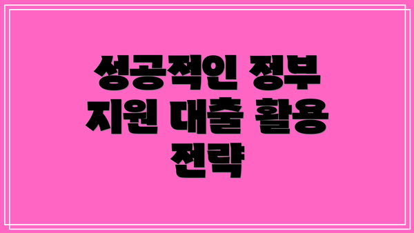 성공적인 정부 지원 대출 활용 전략