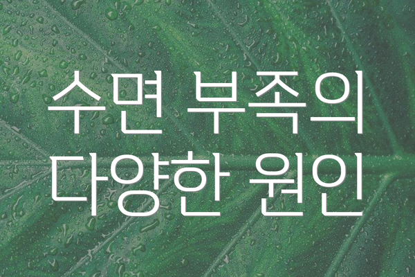 수면 부족의 다양한 원인