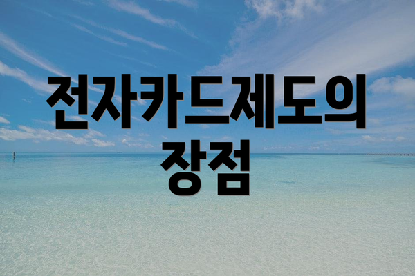 전자카드제도의 장점