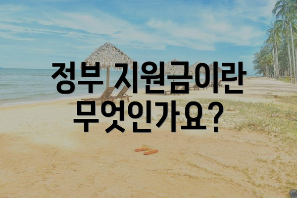 정부 지원금이란 무엇인가요?