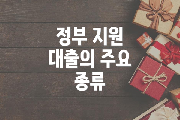 정부 지원 대출의 주요 종류