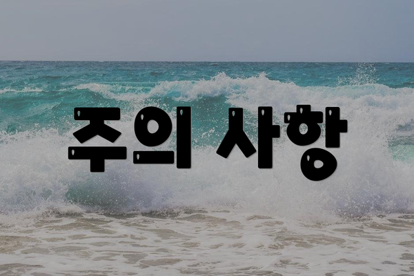 주의 사항