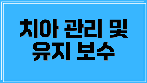 치아 관리 및 유지 보수