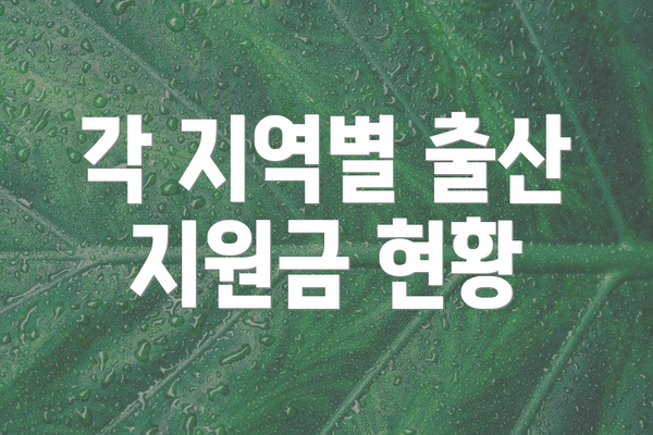 각 지역별 출산 지원금 현황