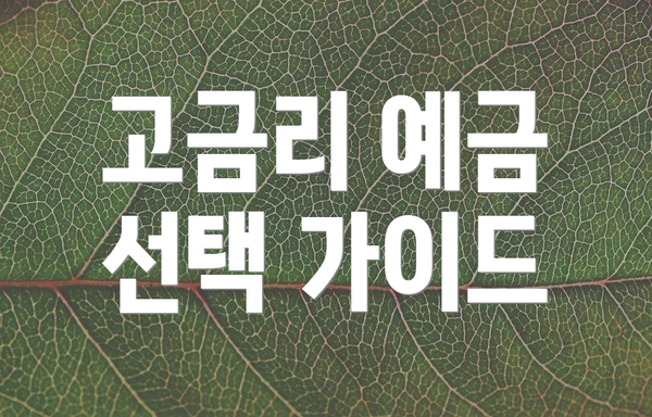 고금리 예금 선택 가이드
