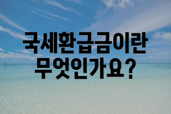 국세환급금이란 무엇인가요?
