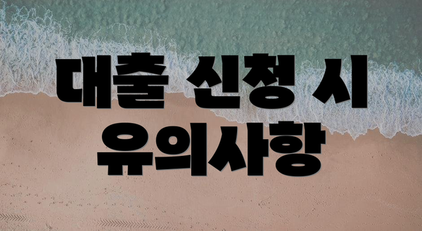 대출 신청 시 유의사항