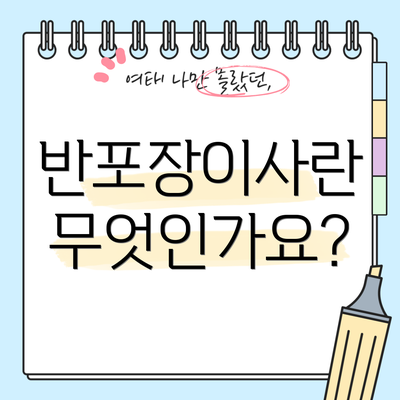 반포장이사란 무엇인가요?