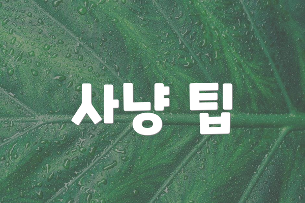 사냥 팁
