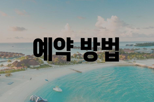예약 방법