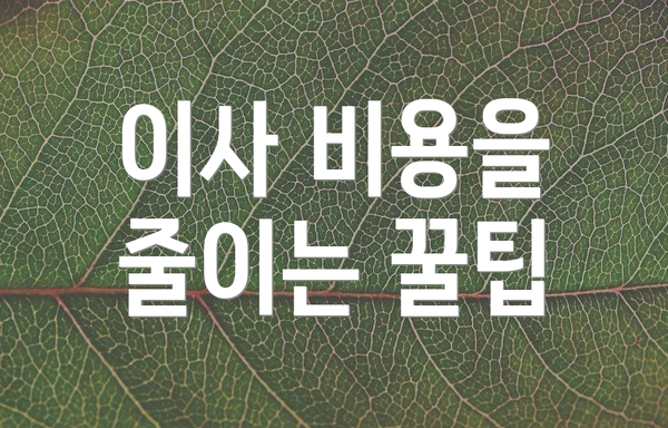이사 비용을 줄이는 꿀팁