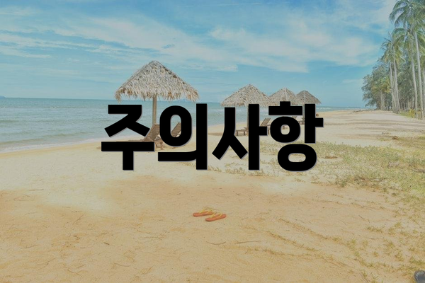 주의사항