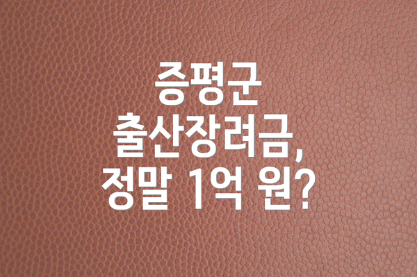 증평군 출산장려금, 정말 1억 원?