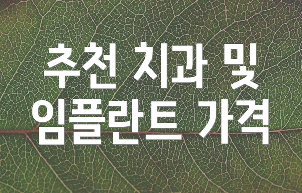 추천 치과 및 임플란트 가격