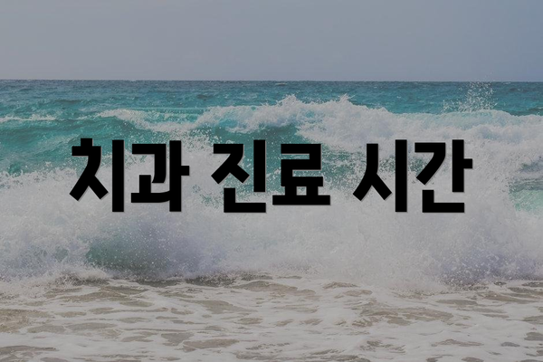 치과 진료 시간