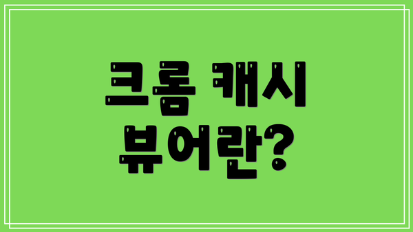 크롬 캐시 뷰어란?