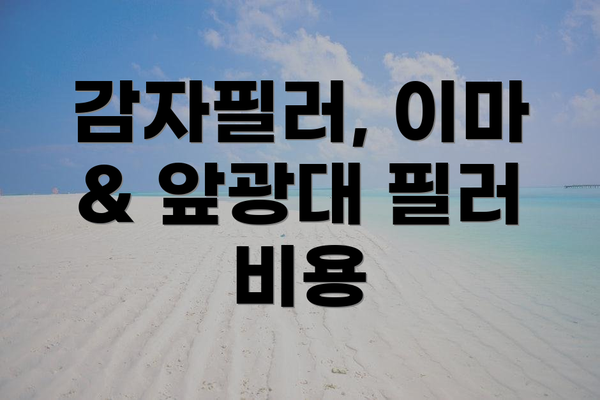 감자필러, 이마 & 앞광대 필러 비용