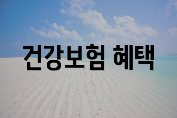건강보험 혜택