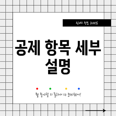 공제 항목 세부 설명