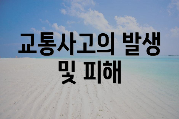 교통사고의 발생 및 피해