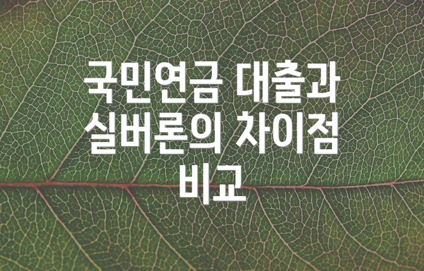 국민연금 대출과 실버론의 차이점 비교