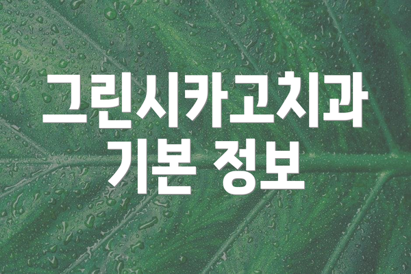 그린시카고치과 기본 정보