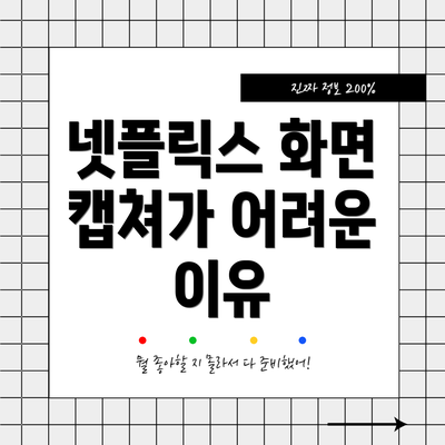 넷플릭스 화면 캡쳐가 어려운 이유