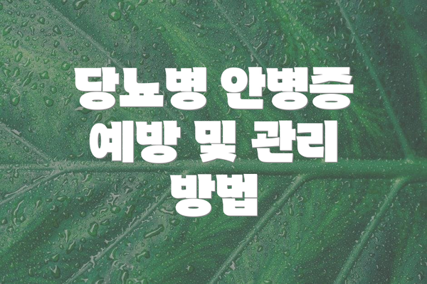 당뇨병 안병증 예방 및 관리 방법