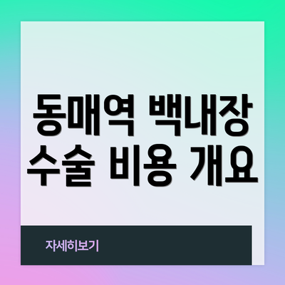 동매역 백내장 수술 비용 개요