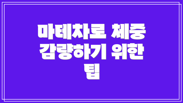 마테차로 체중 감량하기 위한 팁