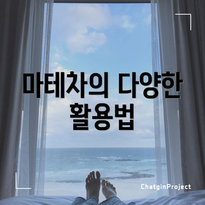 마테차의 다양한 활용법