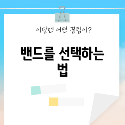 밴드를 선택하는 법