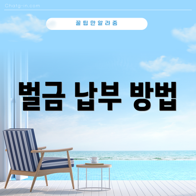 벌금 납부 방법
