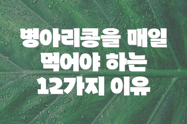 병아리콩을 매일 먹어야 하는 12가지 이유