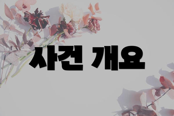 사건 개요