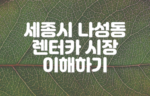 세종시 나성동 렌터카 시장 이해하기