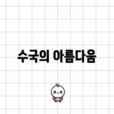 수국의 아름다움