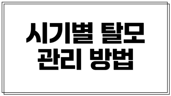 시기별 탈모 관리 방법