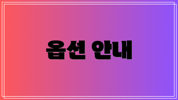 옵션 안내