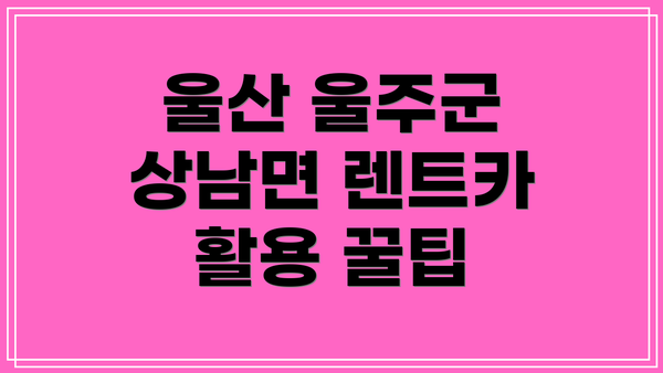 울산 울주군 상남면 렌트카 활용 꿀팁